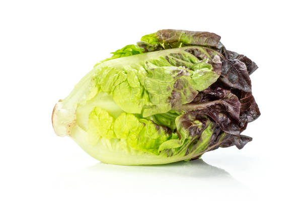 istock Fresh raw lettuce red little gem isolated on white 996475942