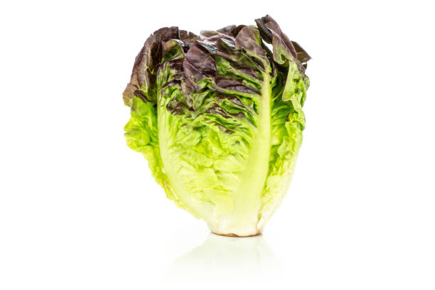istock Fresh raw lettuce red little gem isolated on white 996476394