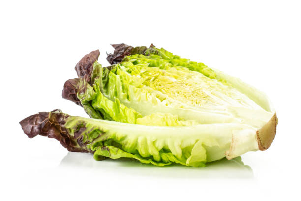 istock Fresh raw lettuce red little gem isolated on white 996478102