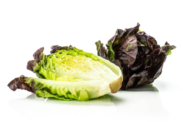 istock Fresh raw lettuce red little gem isolated on white 996478180