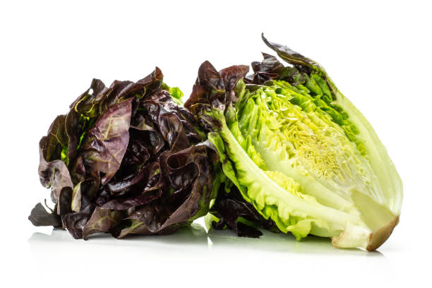 istock Fresh raw lettuce red little gem isolated on white 996478182