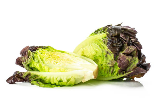 istock Fresh raw lettuce red little gem isolated on white 996478312