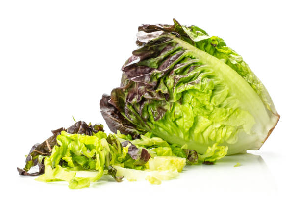 istock Fresh raw lettuce red little gem isolated on white 996478330