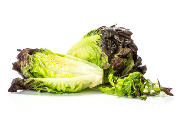 istock Fresh raw lettuce red little gem isolated on white 996478372