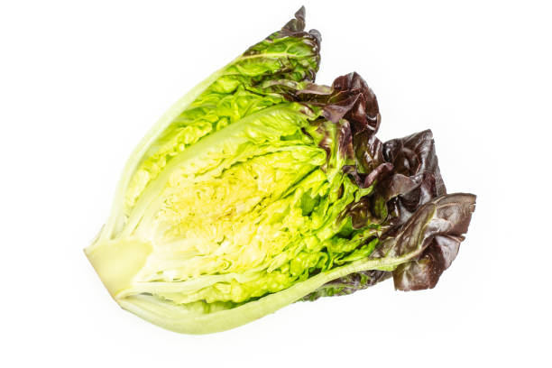 istock Fresh raw lettuce red little gem isolated on white 996478394