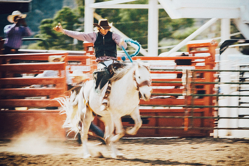 Young men compete in the saddle bronc event at a rodeo. Utah, USA.