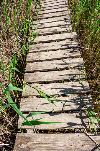 Nature wooden boardwalk through wetland grass at Dragoman Marsh in Sofia Province - the biggest natural karst wetland in Bulgaria