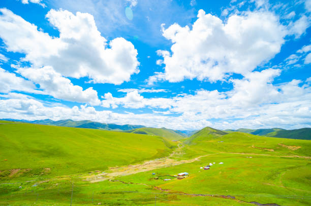 istock The beautiful scenery on the plateau--sichuan,china 996505362