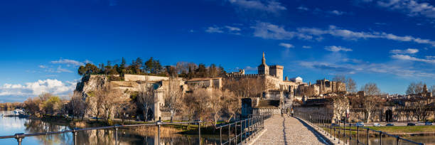 Famous Avignon Bridge also called Pont Saint-Benezet at Avignon Famous Avignon Bridge also called Pont Saint-Benezet at Avignon France avignon france stock pictures, royalty-free photos & images