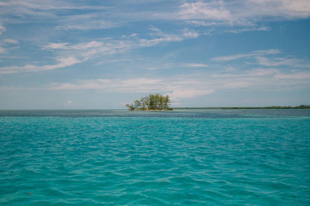 Lonely island in Bimini stock photo