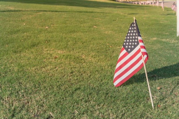 istock American Flags on green grass lawn Independence Day 996545222