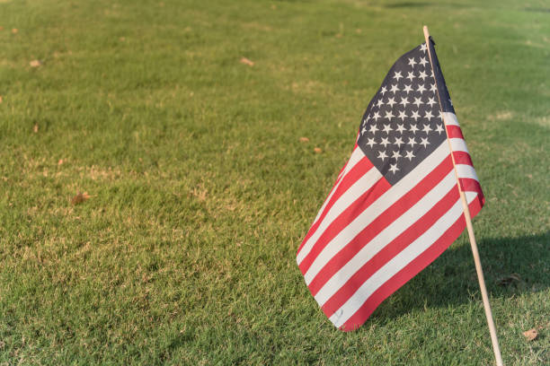 istock American Flags on green grass lawn Independence Day 996545308