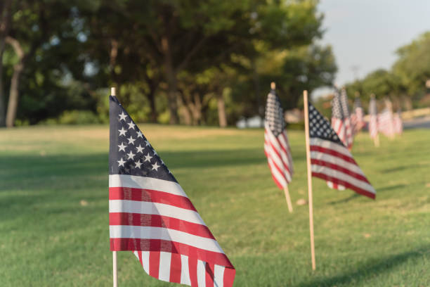 istock American Flags on green grass lawn Independence Day 996547836