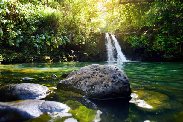 tropischer wasserfall lower waikamoi falls und einem kleinen kristallklaren teich in einem dichten tropischen regenwald, abseits der straße nach hana highway, maui, hawaii - regenstein stock-fotos und bilder