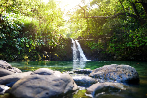 熱帯の滝下ワイカモイ滝や熱帯雨林の中の小さな透き通った池オフ花高速道路、マウイ島、ハワイへの道 - maui waterfall hawaii islands hana ストックフォトと画像