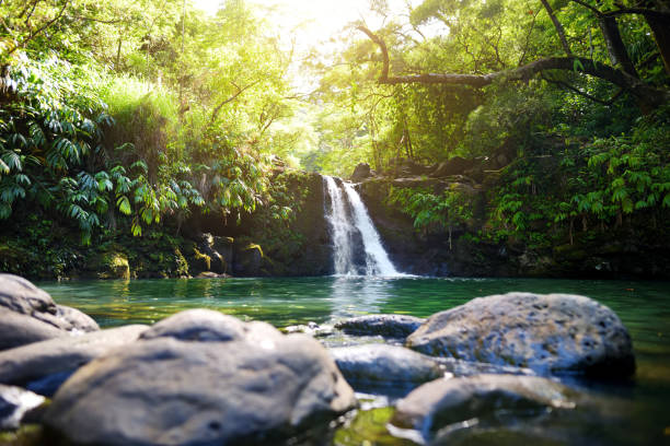 istock Tropical waterfall Lower Waikamoi Falls and a small crystal clear pond, inside of a dense tropical rainforest, off the Road to Hana Highway, Maui, Hawaii 996548182