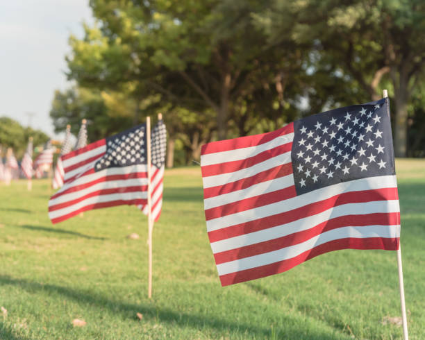 istock American Flags on green grass lawn Independence Day 996548464