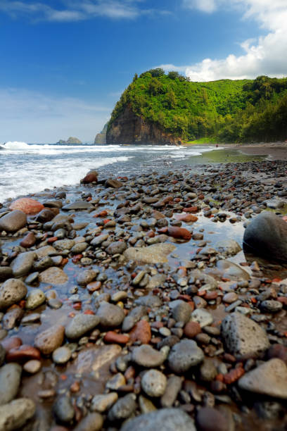 Stunning view of rocky beach of Pololu Valley on Big Island of Hawaii Stunning view of rocky beach of Pololu Valley on Big Island of Hawaii, USA pololu stock pictures, royalty-free photos & images