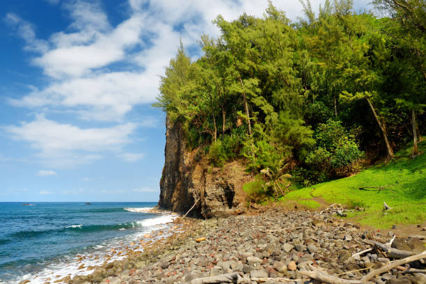 Stunning view of rocky beach of Pololu Valley on Big Island of Hawaii Stunning view of rocky beach of Pololu Valley on Big Island of Hawaii, USA pololu stock pictures, royalty-free photos & images