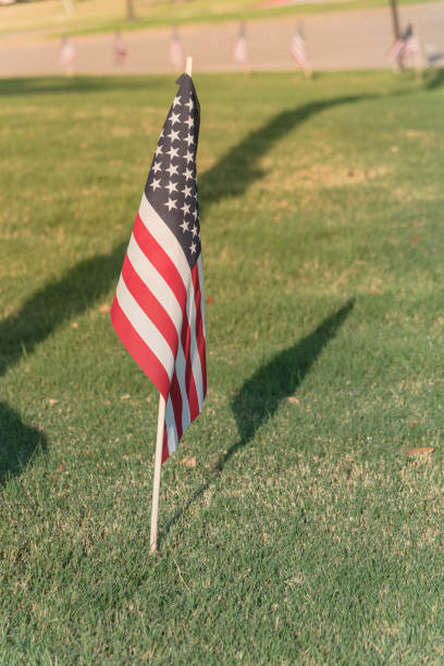istock American Flags on green grass lawn Independence Day 996548578