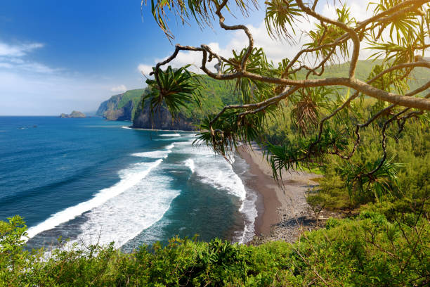 pololu 계곡, 하와이 빅 아일랜드의 바위 해변의 아름 다운 - beach stone wave natural land state 뉴스 사진 이미지