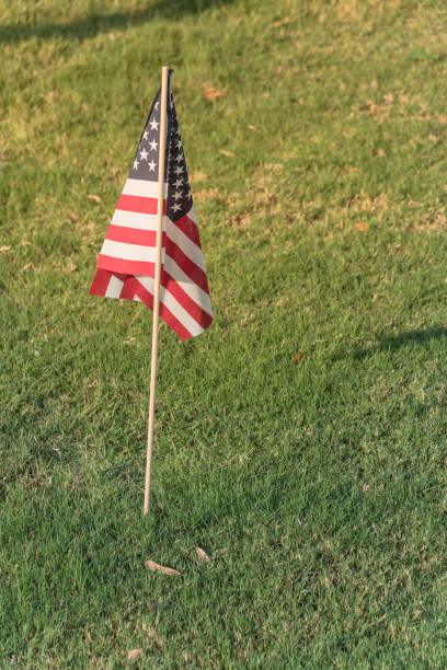istock American Flags on green grass lawn Independence Day 996552986