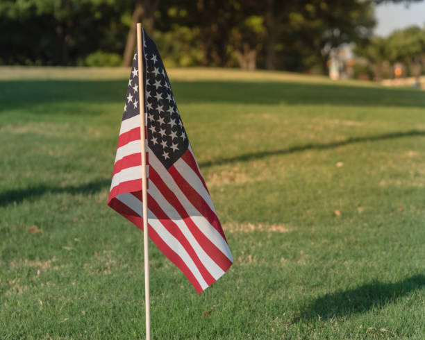 istock American Flags on green grass lawn Independence Day 996553250