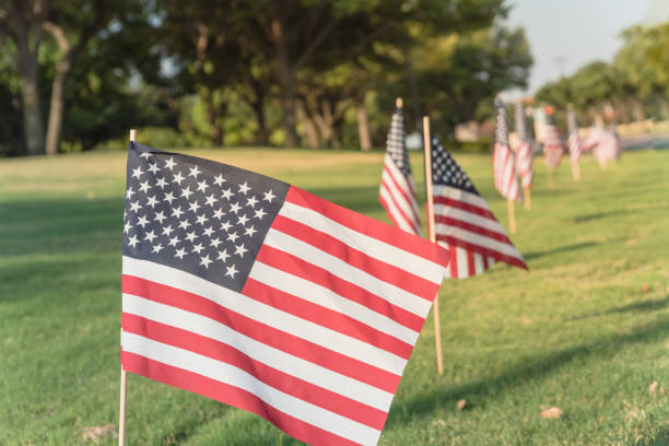 istock American Flags on green grass lawn Independence Day 996555086