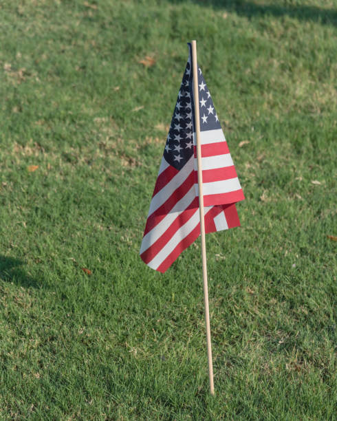 istock American Flags on green grass lawn Independence Day 996555326