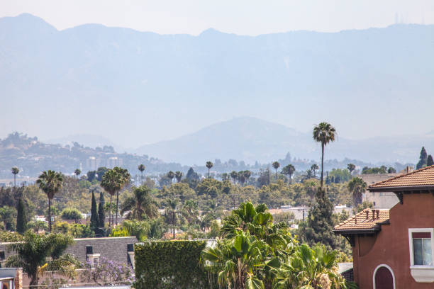 istock City of Los Angeles 996561414