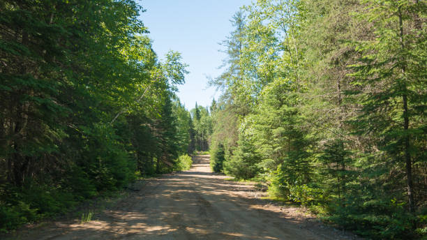 istock Road into the wild, Quebec, Canada 996564768