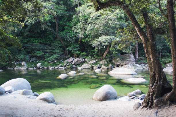 Mossman Gorge, Australia Mossman Gorge in Queensland, Australia mossman gorge stock pictures, royalty-free photos & images