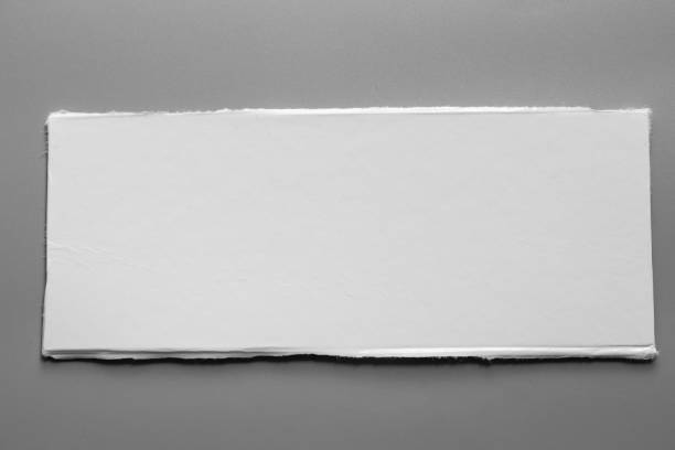 istock white torn paper on gray background. collection paper rip 996572864