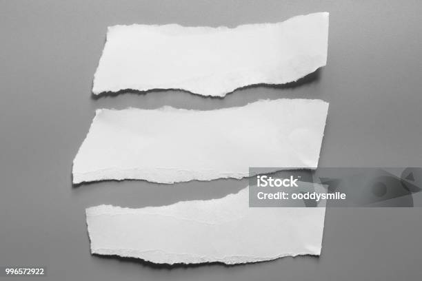 Paper Rip Stock White Torn Paper On Gray Background Collection Paper Rip Stock Photo ...