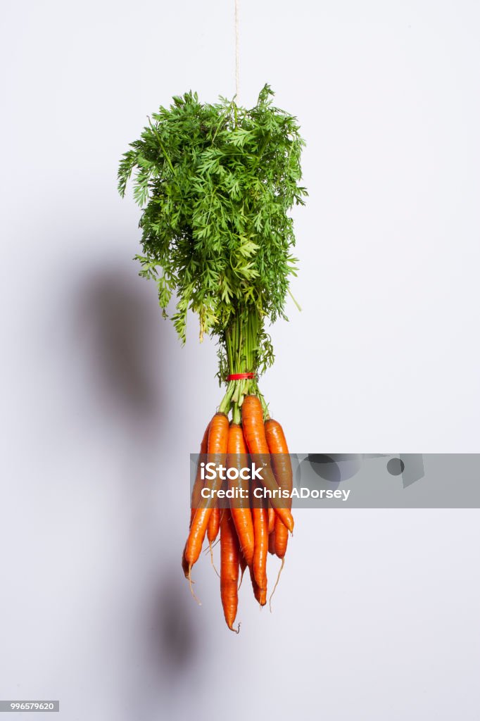 Hanging Carrots Hanging Carrots
