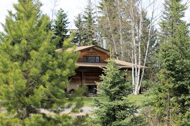 istock Cedar home hidden in the evergreens 996585444