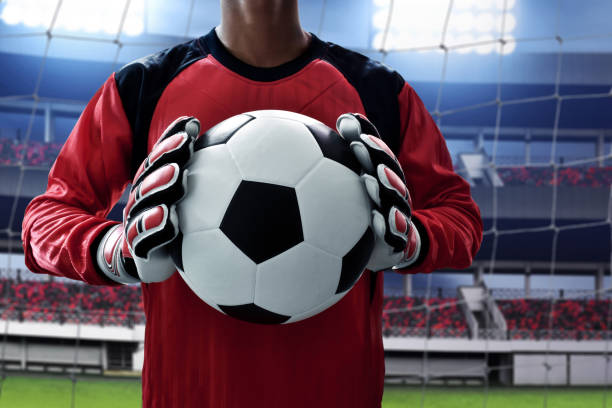 soccer goalkeeper holding soccer ball - soccer glove imagens e fotografias de stock