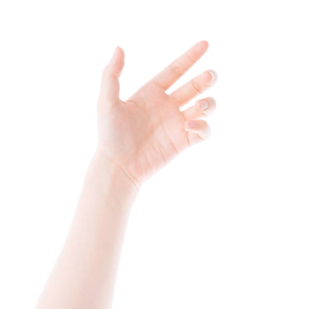 istock beautiful woman's hand isolated on white background 996591582