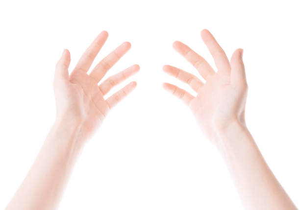beautiful woman's hand isolated on white background