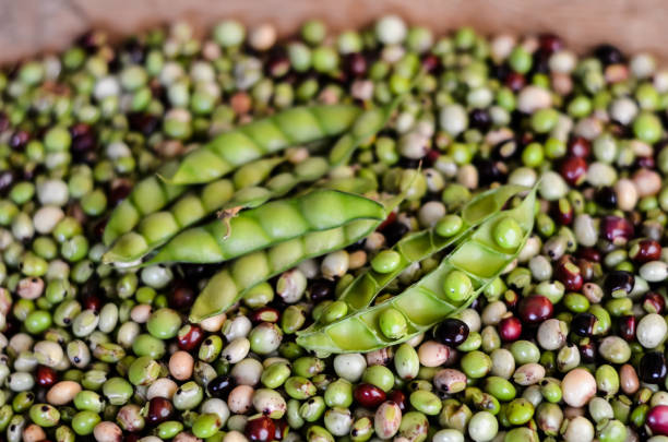 Pigeon peas