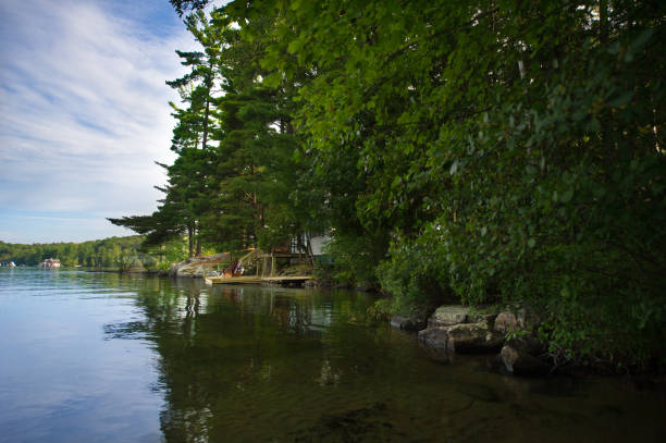 istock Muskoka chairs on a wooden dock 996636586