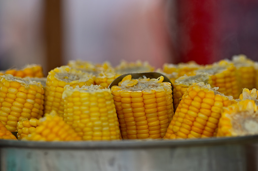 Corn on the cob boils in a metal pot. Fresh, steamy hot, yummy summer snack for everyone.