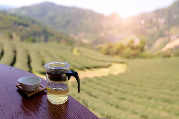 istock cup of hot tea in nature background. 996670238