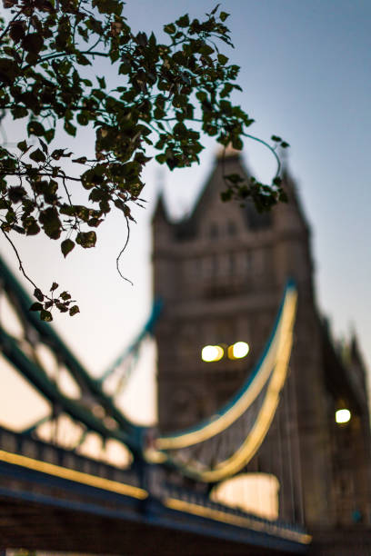 istock Tower Bridge at twilight, London, UK 996698130