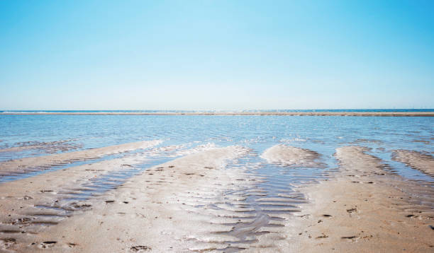 istock Beach along the North Sea below a blue sky in sunlight in summer 996698164