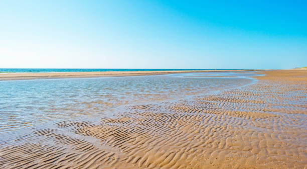 istock Beach along the North Sea below a blue sky in sunlight in summer 996698268