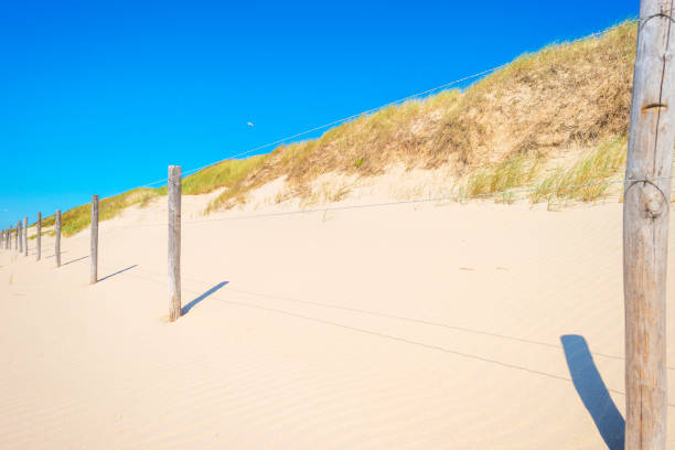 istock Hilly dunes in sunlight below a blue sky in summer 996698332