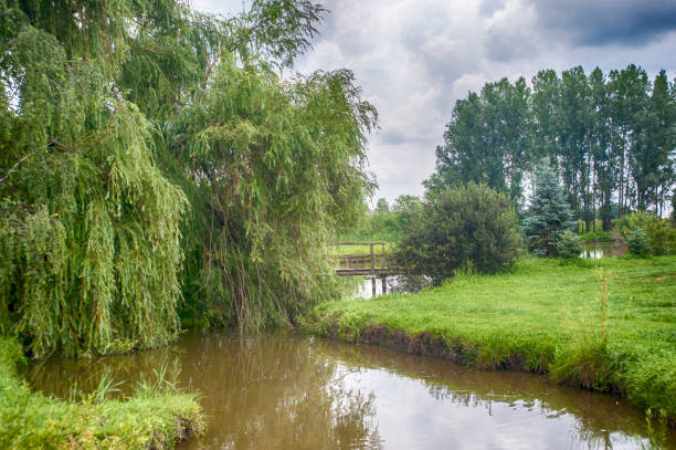istock river with a wooden bridge 996714900