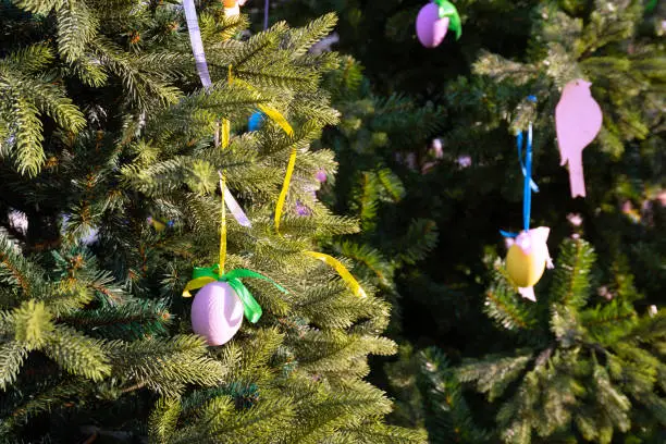 Photo of Colourful easter eggs hanging on tree decorate  during the season of Eastertide.