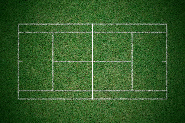 pasto de corte verde de tenis con línea blanca desde la vista superior. - tennis court tennis net indoors fotografías e imágenes de stock